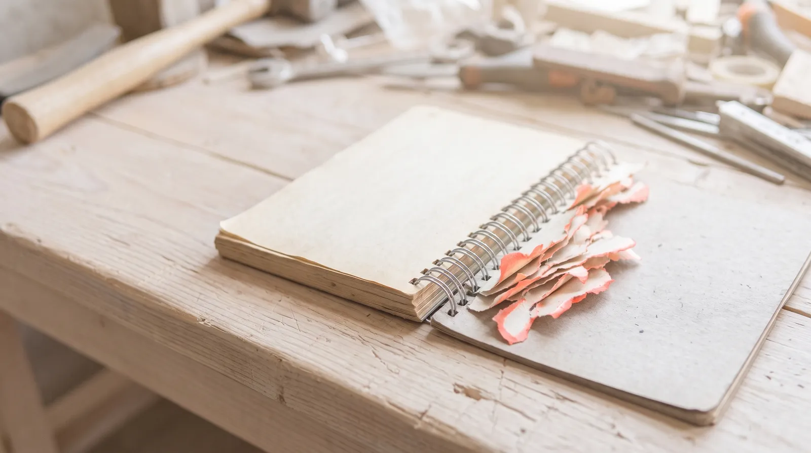 Un carnet à spirale ouvert sur un établi sombre, la moitié de ses pages arrachées, les talons déchirés encore pris dans la reliure, une seule lumière corail rasante