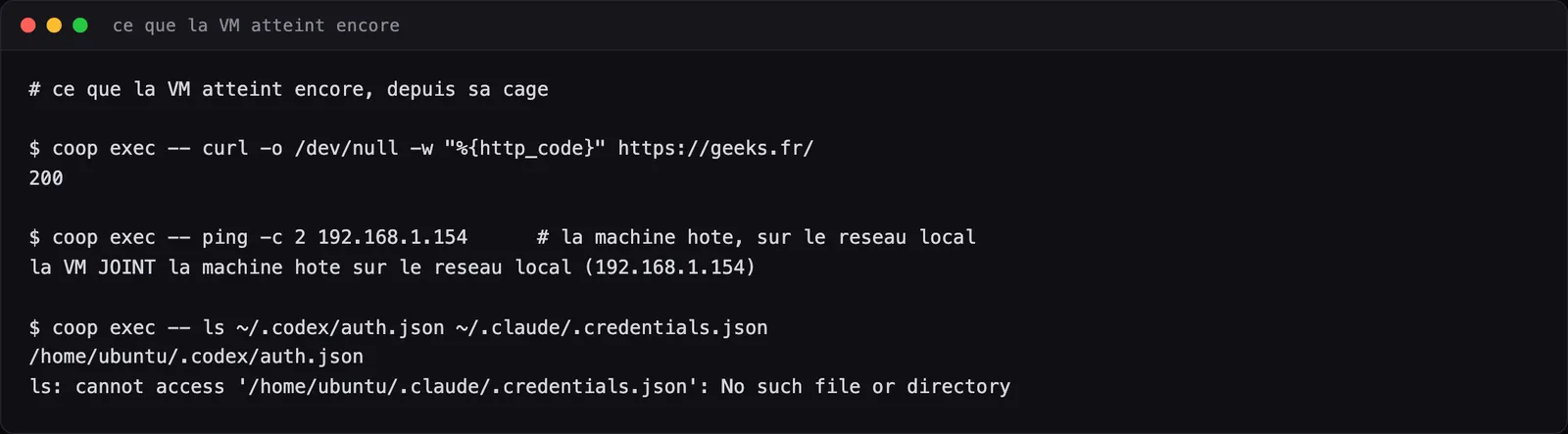 Terminal : depuis la VM, geeks.fr répond 200, la machine hôte est joignable sur le réseau local, et le fichier d'authentification de Codex est présent