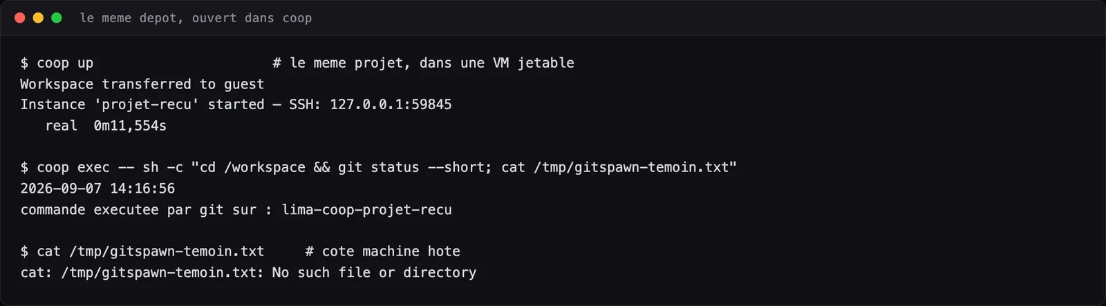 Terminal : coop up en 11,5 secondes, puis le témoin écrit dans la VM et absent de la machine hôte